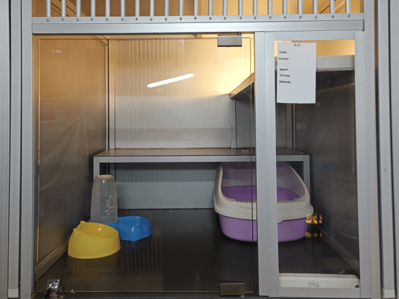 Cat Hotel & Boarding big cage cat hotel dan boarding setapak cat house (1)