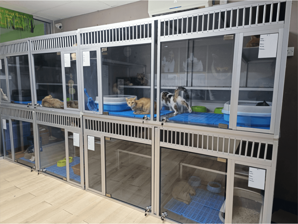 Cat Hotel & Boarding cat hotel dan boarding setapak cat house 1 (1)