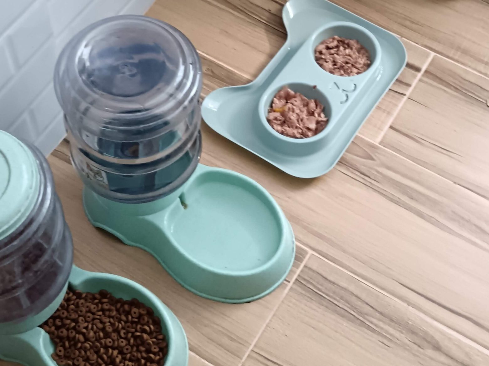 cat sitter and home care setapak cat house 6 (1)