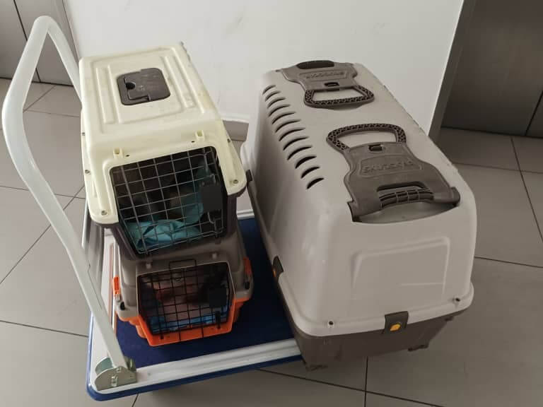 cat taxi & transporation setapak cat house 3 (1)