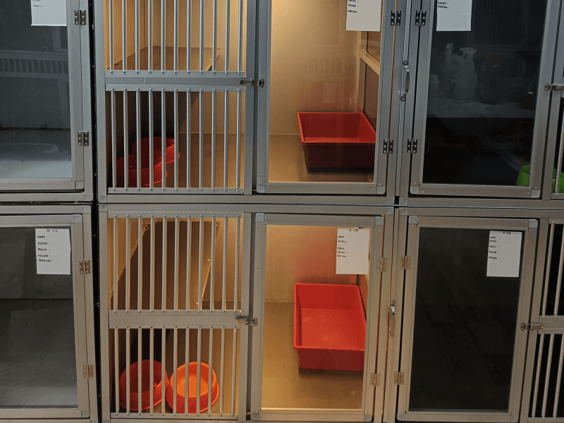 Cat Hotel & Boarding medium cage cat hotel dan boarding setapak cat house 1 (1)