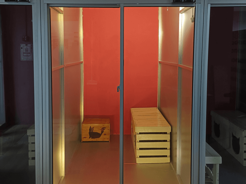 Cat Hotel & Boarding vic room cat hotel dan boarding setapak cat house (1)