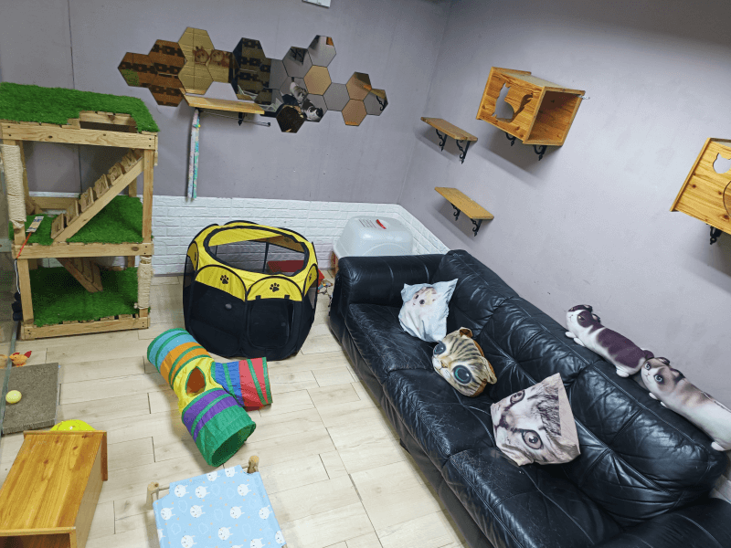 Cat Hotel & Boarding vvic room cat hotel dan boarding setapak cat house 1 (1)